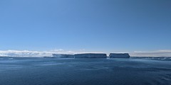 Tabular icebergs, Antarctic Sound