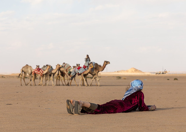 Tourist taking pictures during the training for camel racing, Najran Province, Hubuna, Saudi Arabia