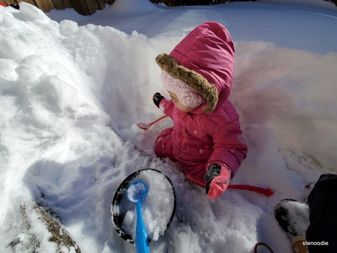 Toddler playing in the 60cm snow