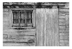 barn window 01 19