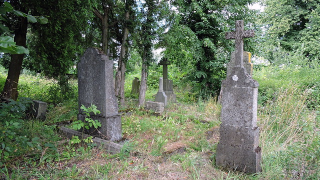 2016-07-30 Sad German Cemetery in Vysoké Sedliště