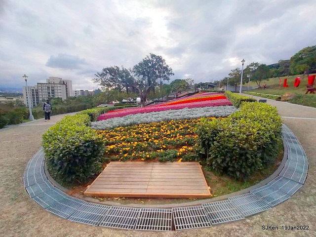 Park blossoms at「 北投社三層崎公園」, Taipei, Taiwan, SJKen, Jan 19, 2022.