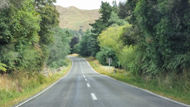 Love a Kiwi road trip