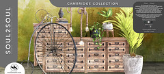 Soul2Soul. Cambridge Collection at Shiny Shabby event