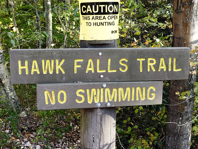 Hickory  Run SP Hawk Falls Trail 01