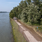 Rheinhochwasser bei Plittersdorf/Rhein