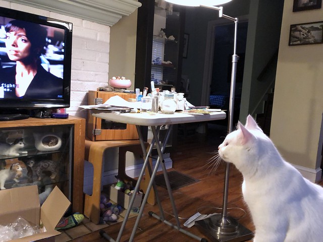 Guru transfixed by the tv