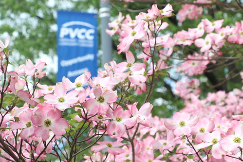 PVCC Campus - Spring04