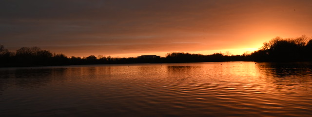 Sunset at Black Swan Lake - Thursday 20th January 2022  at  16:18:45