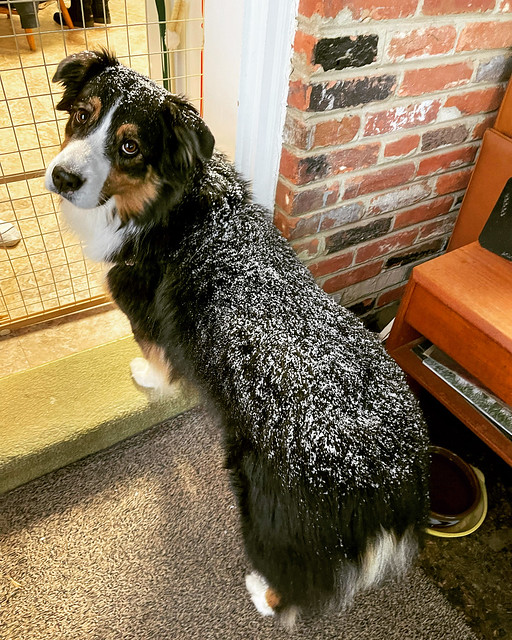 It’s Just a Little Snow, mom