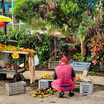 Fruit vendor in Virginia neighborhood Santa Clara | Vendedor callejero de frutas en Virginia, Santa Clara