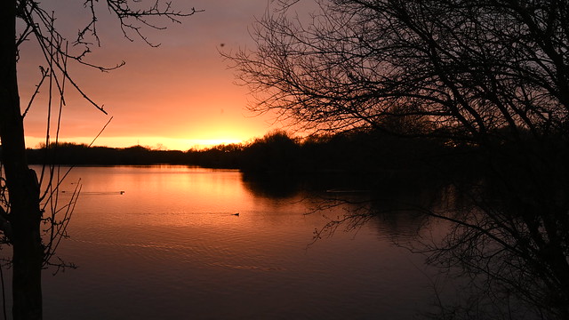 Sunset at Black Swan Lake - Thursday 20th January 2022  at  16:23:43