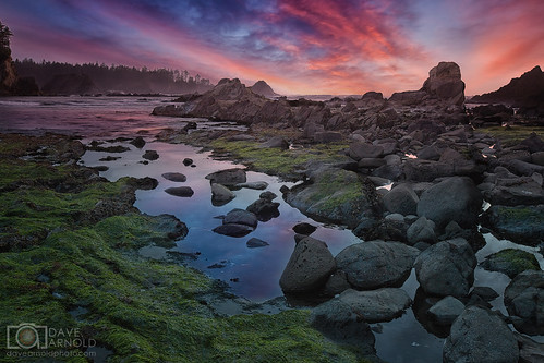 or ore oregon coosbay bandon sunsetbay pacific beach big coast water outdoor tide lowtide sunset fog marine layer weather wave facerock arnold davearnold davearnoldphotocom pic picture photo photography photograph photographer travel tour idyllic landscape sky islands awesome canon 5d mkiii us usa beautiful serene peaceful huge high seastack spread cooscounty ocean wet sea wild endangered bay fantastic american scenic 1635mm professional highway101 cloud reflection