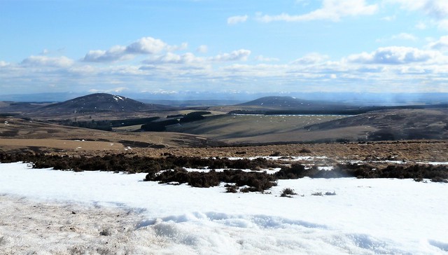 Lammermuir Hills in March:  The Borders, Scotland