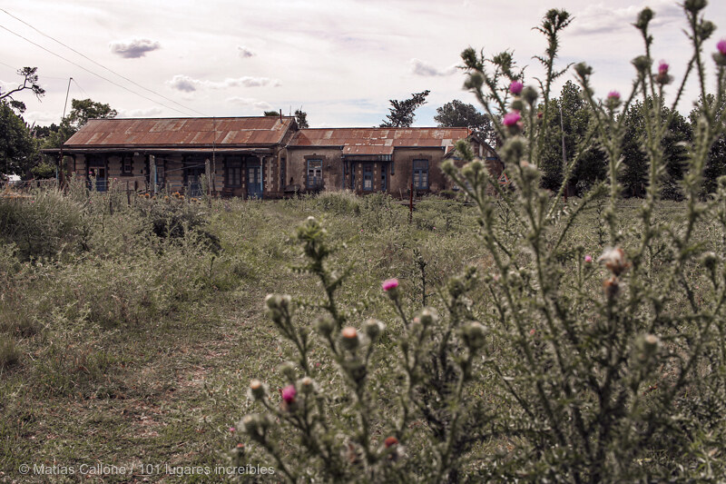 Los Pinos