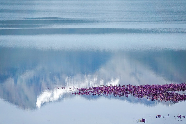 Lake Tekapo - reflections