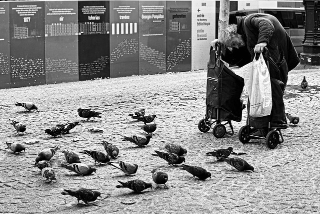 L'homme aux pigeons Paris