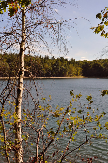Walden Pond