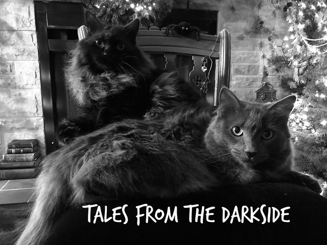 TALES FROM THE DARKSIDE - CASE SOLVED