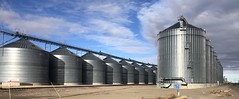 Grain Bins In Fairfield,Montana