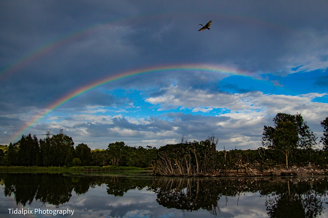 Double Rainbow Over Ibis Island