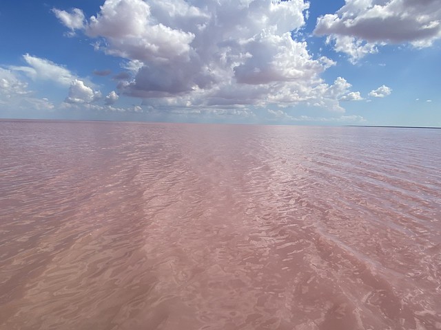 Pink Lake Ukraine