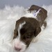 			bordersofebyeden posted a photo:	1/22/22- 2 weeks old