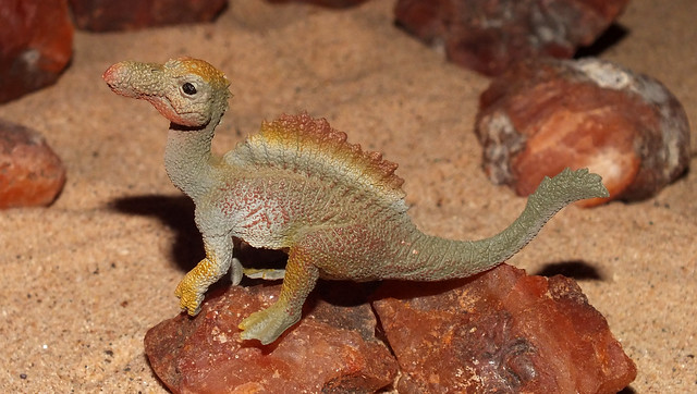 Spinosaurus (†Spinosaurus aegyptiacus) juvenile PNSO replica