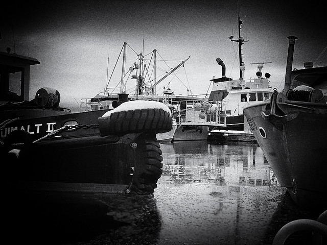 Cowichan Bay Boats