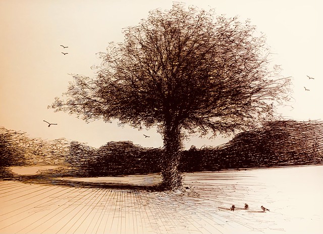 Last of the Sunshine. Ballpoint pen drawing by jmsw on card , highlights in watercolour pencil..