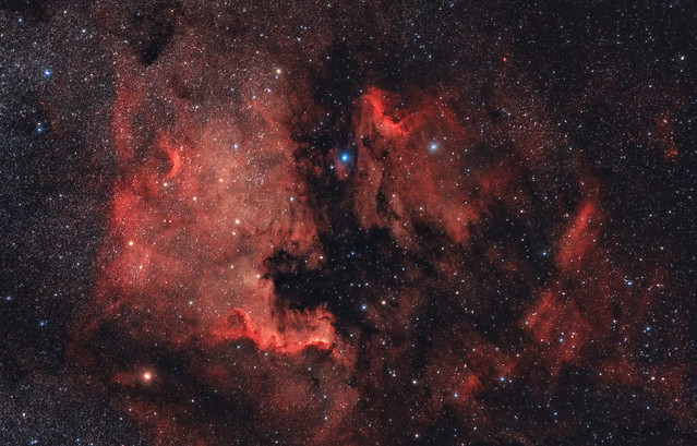 North America & Pelican Nebula