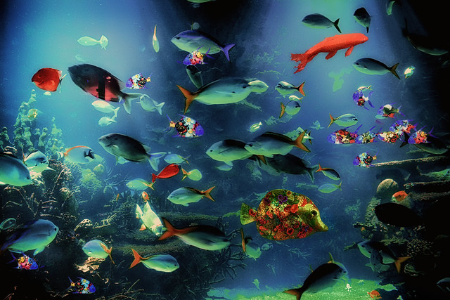 Mundo Submarino - Undersea world (Collage)