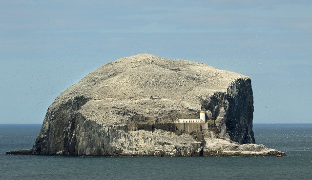 Bass Rock - Firth of Forth.