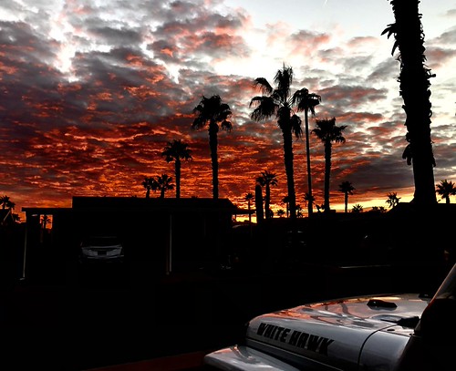 Palm Creek Sunrise by twdenman,