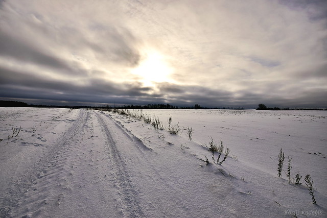 Snowy Winter Road, Latvia