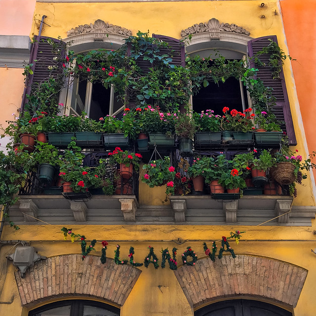 Cagliari. Balconi fioriti a Villanova