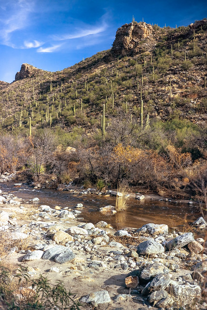 Sabino Canyon Trail Tucson 2