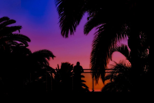 Alone, at sunset with palm trees