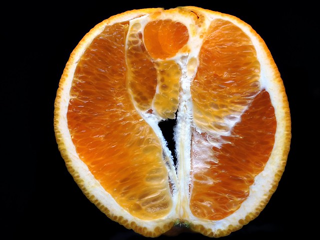 Orange Fruit Tree [ in explore ]