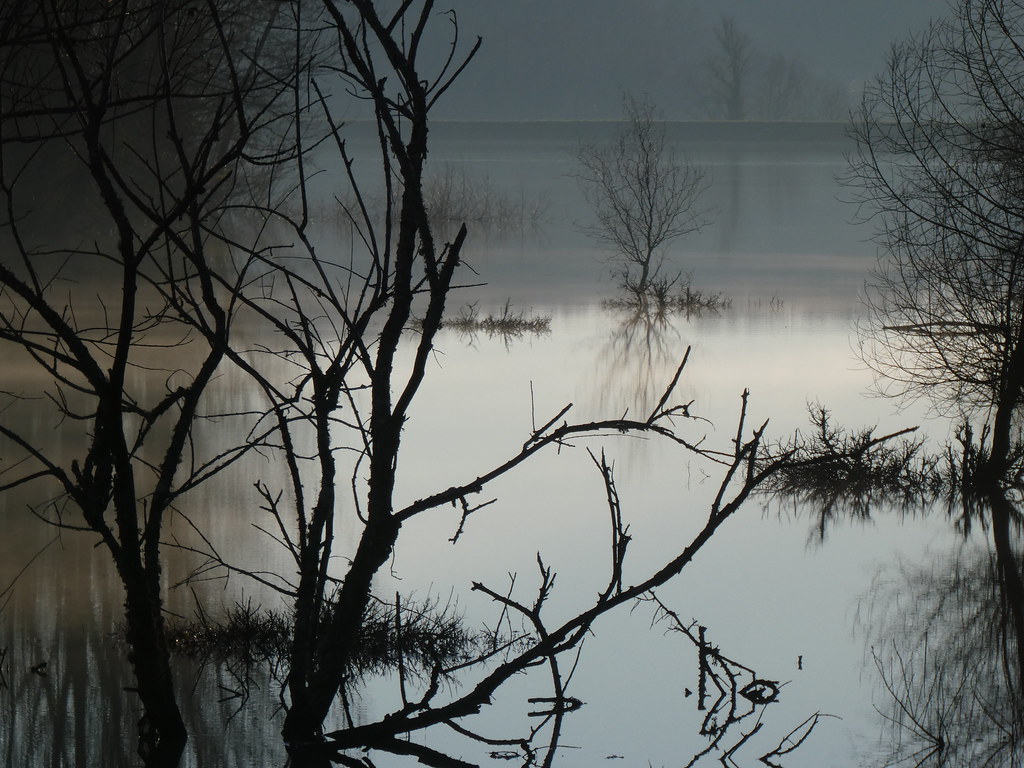 la brume sur le lac 14 janvier 2022 17h10min10s