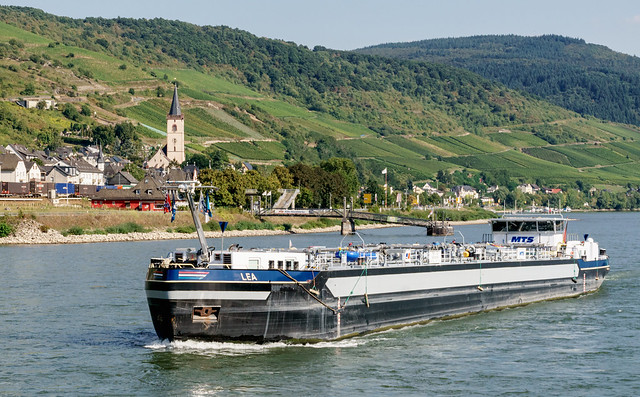 Barge Passing Long Stretch of Vineyards on the Rhine, Germany - Cruise AB 21