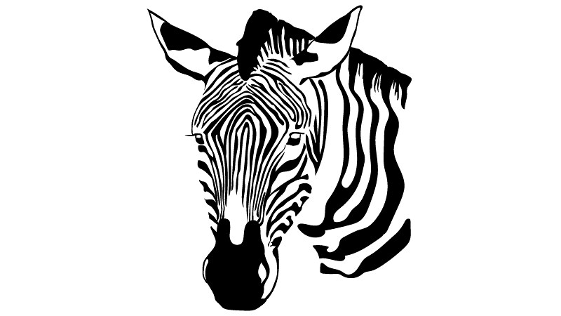 The head and upper body of a zebra is the logo of a new tool called ZEBRA