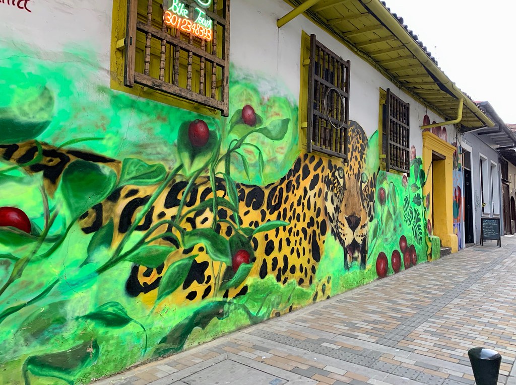 Колумбия. Уличное искусство Боготы. Часть 1. IMG_1983