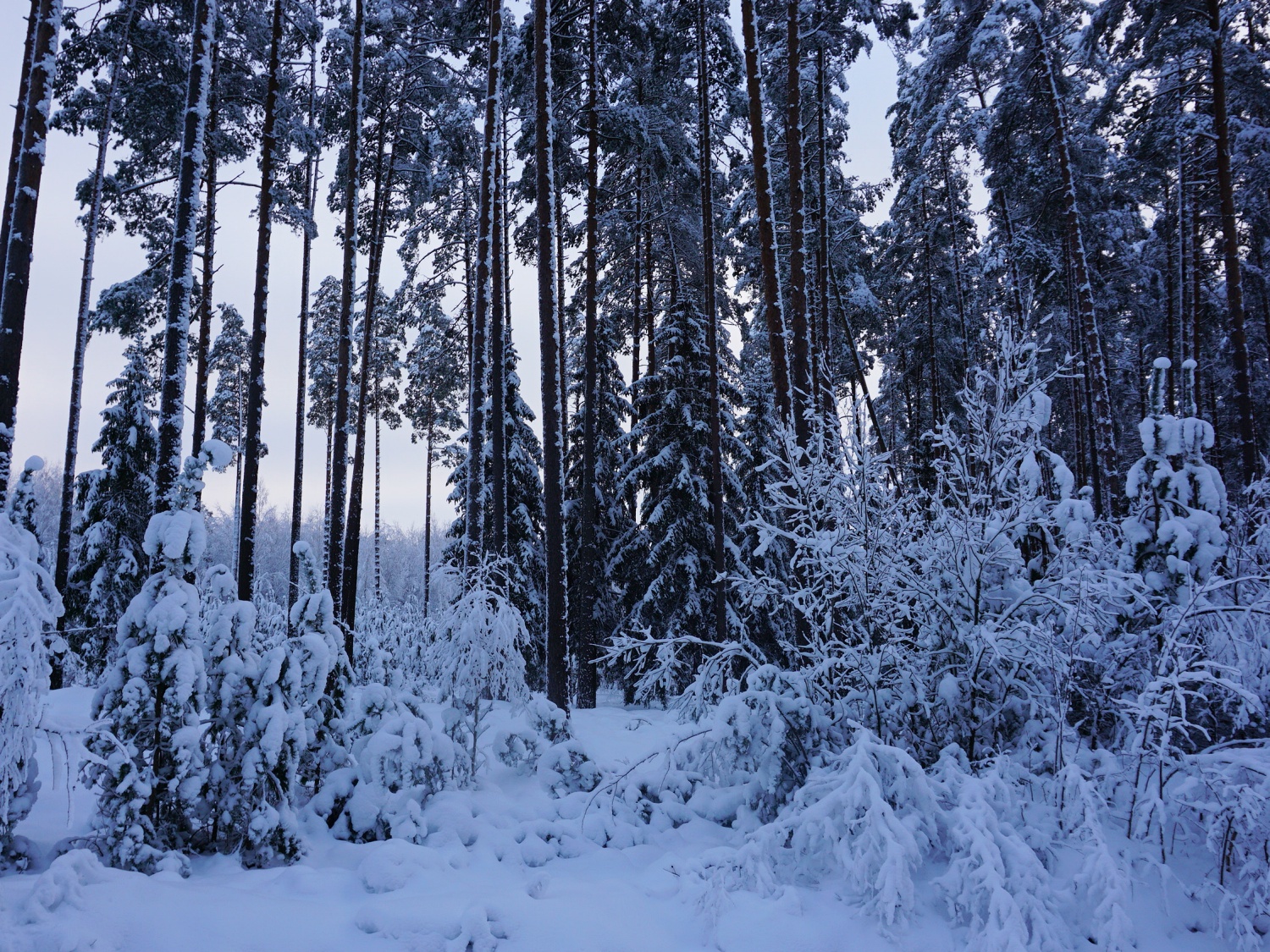 Latvia winter