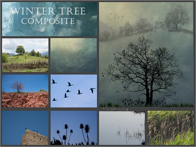 Winter Tree Composite elements