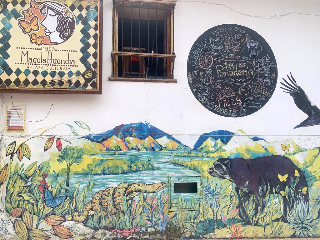 Колумбия. Уличное искусство Боготы. Часть 1. IMG_2111