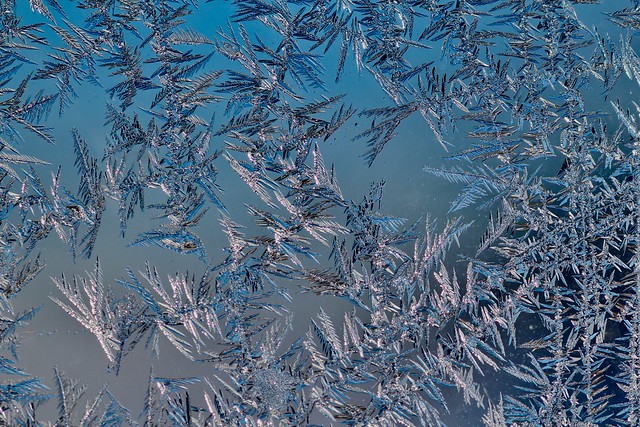Frosted window in Wisconsin.
