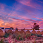17. Jaanuar 2022 - 19:32 - It had been a few years since I had been back at the farm at this time of year. Again the hay bales were lined up and the already set sun was throwing orange and purple colurs onto the thin white clouds, projecting an almost eerie fantasy colour all around.

Bracket of 7 shots (-3 to +3)

2017 - www.flickr.com/photos/134389658@N08/32202657455/in/dateta...

2018 - www.flickr.com/photos/134389658@N08/38625201980/in/dateta...