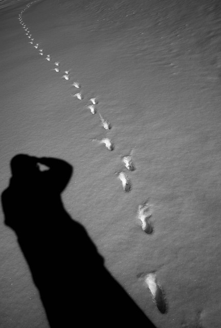 Shadow On the Snow