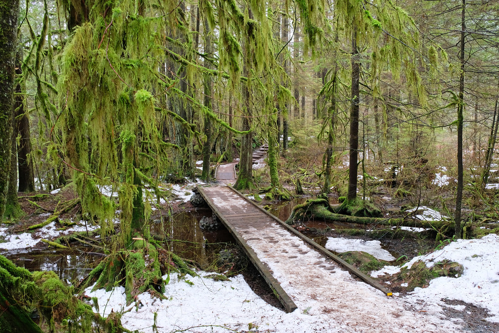 Varley Trail, North Vancouver, BC, Canada